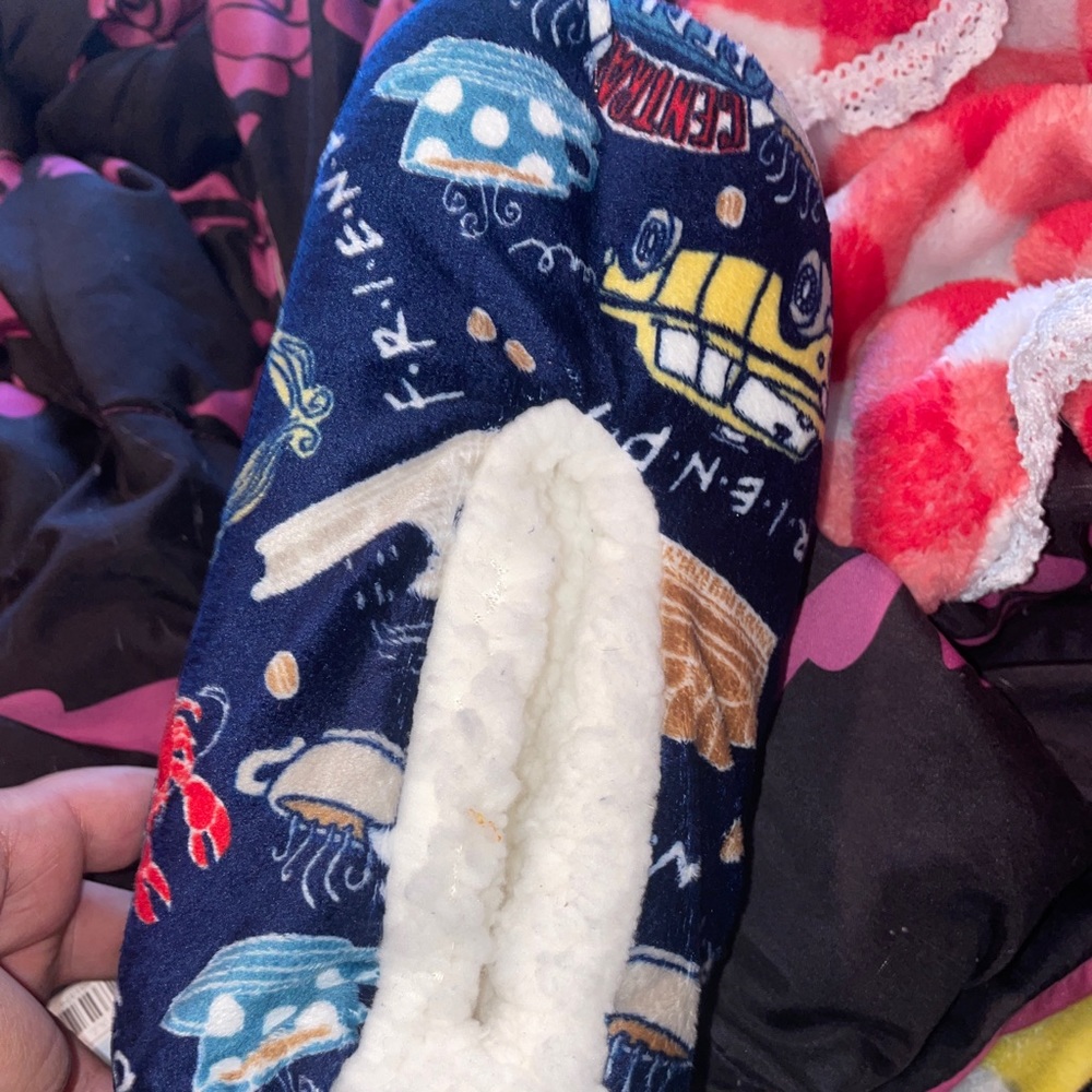 Tv Show Friends Slippers